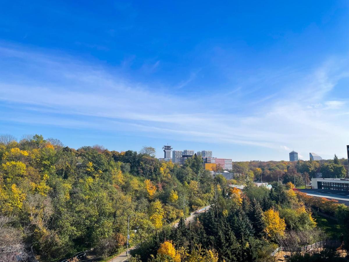 Apartament Lupacova *