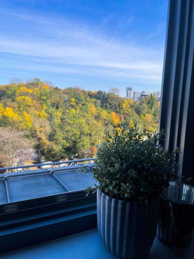 Apartament Lupacova *